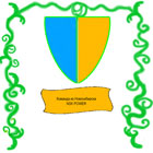 Логотип команды НСК-Сила!